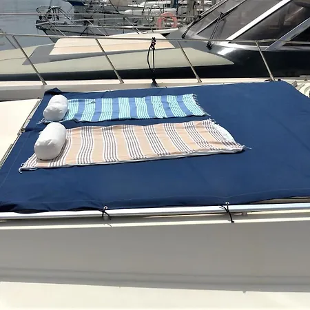 Desire Charming House Boat 船屋 *